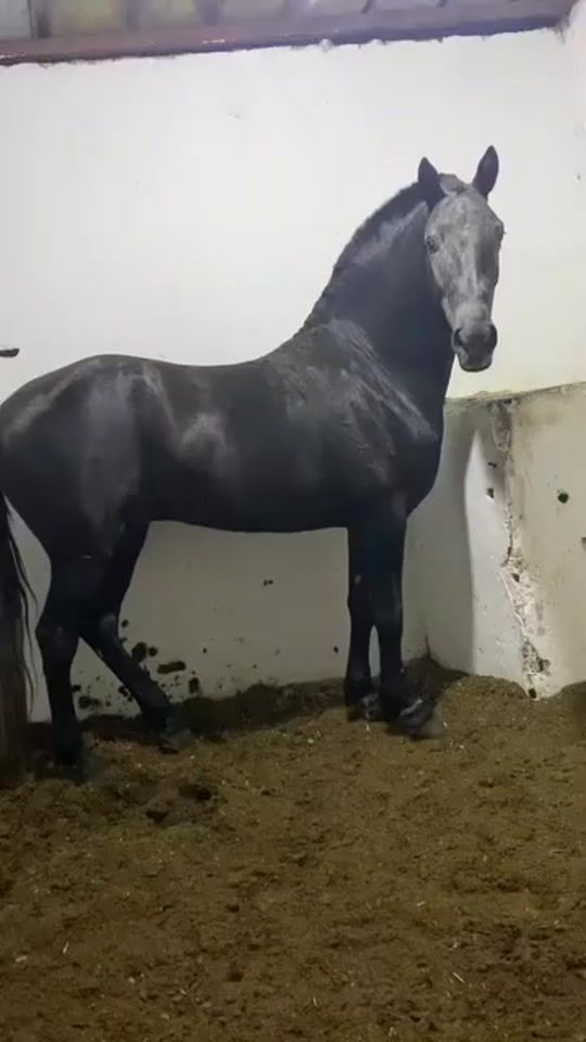 TikTok video thumbnail by 1957888.2