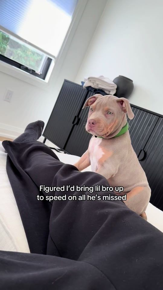 TikTok video thumbnail by mawgateef