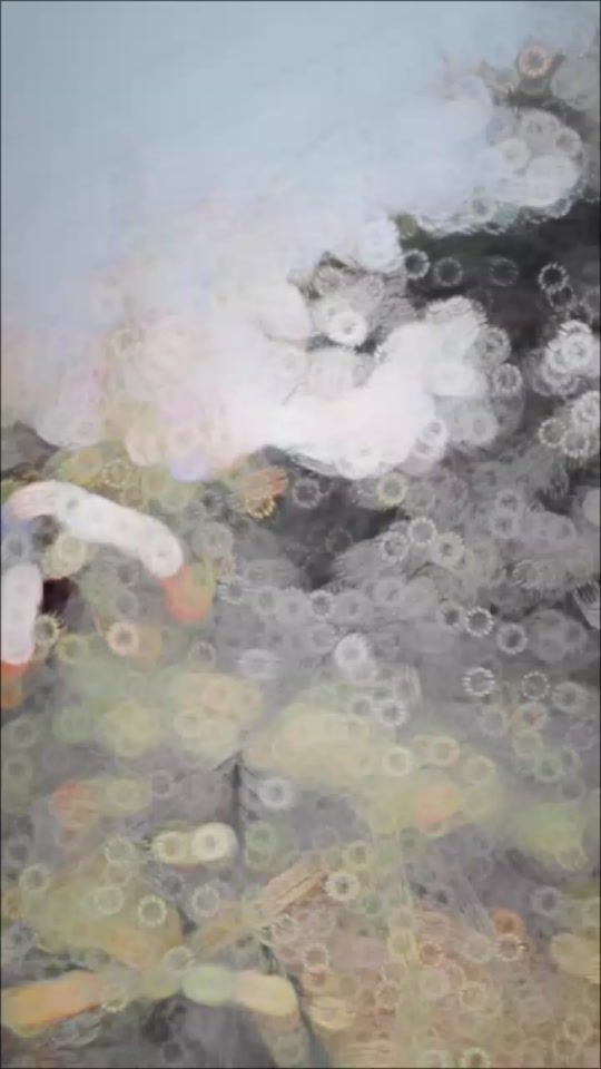 TikTok video thumbnail by sara1_4_3
