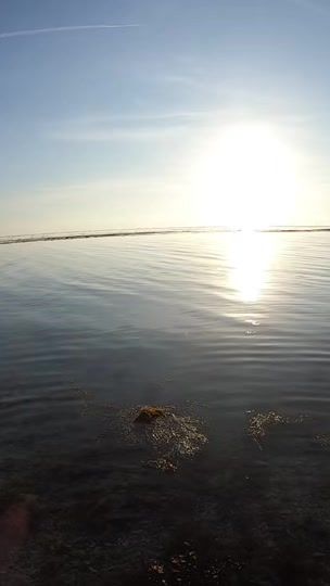 TikTok video thumbnail by bohdi.fishos