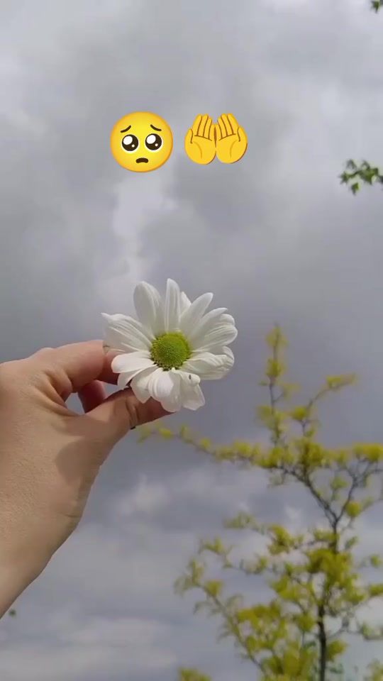 TikTok video thumbnail by tne..too