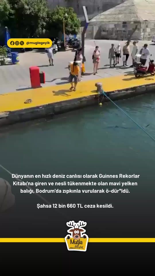 TikTok video thumbnail by muglageyik