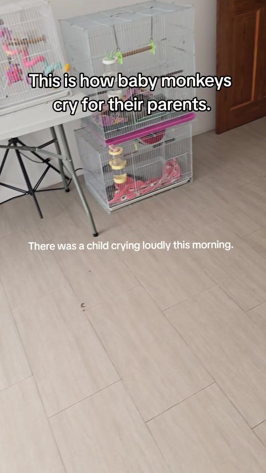 TikTok video thumbnail by at_monkeyhouse1919