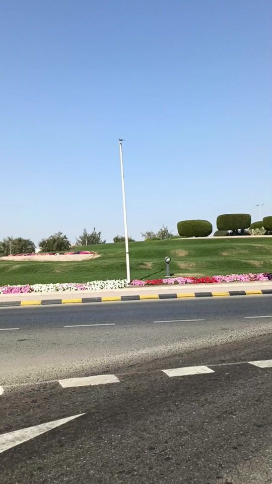TikTok video thumbnail by hasnianoman