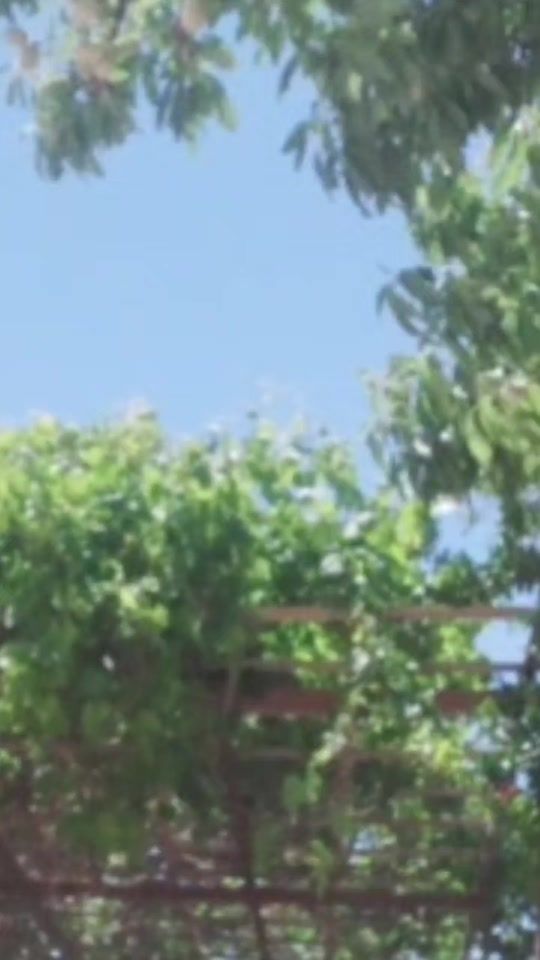 TikTok video thumbnail by ayed.karim