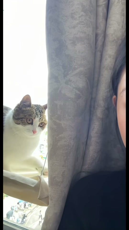 TikTok video thumbnail by hellocast1