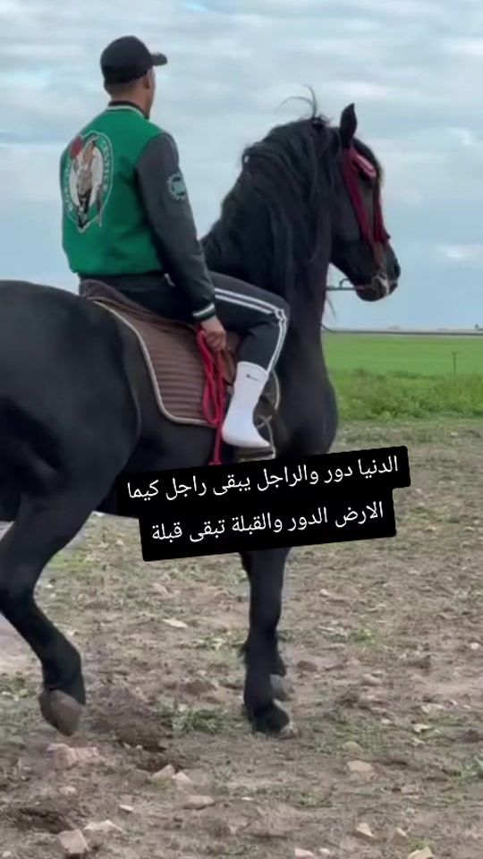 TikTok video thumbnail by 1957888.2