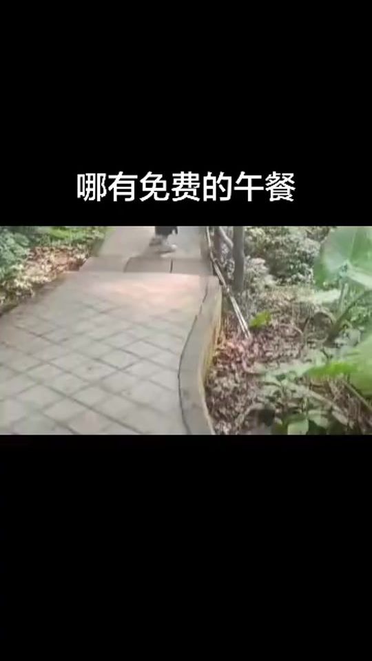 TikTok video thumbnail by zhy13013931720