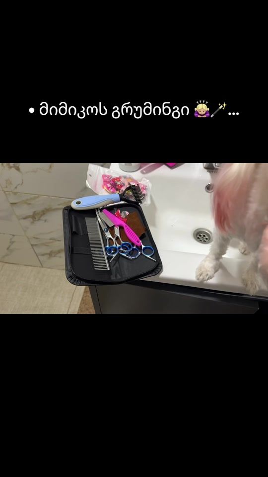 TikTok video thumbnail by t_a2li