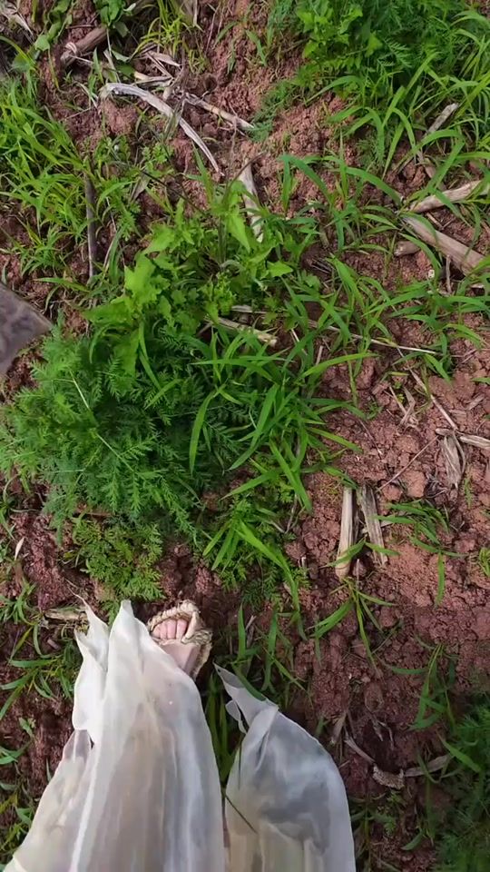 TikTok video thumbnail by cherryrabbit_wy