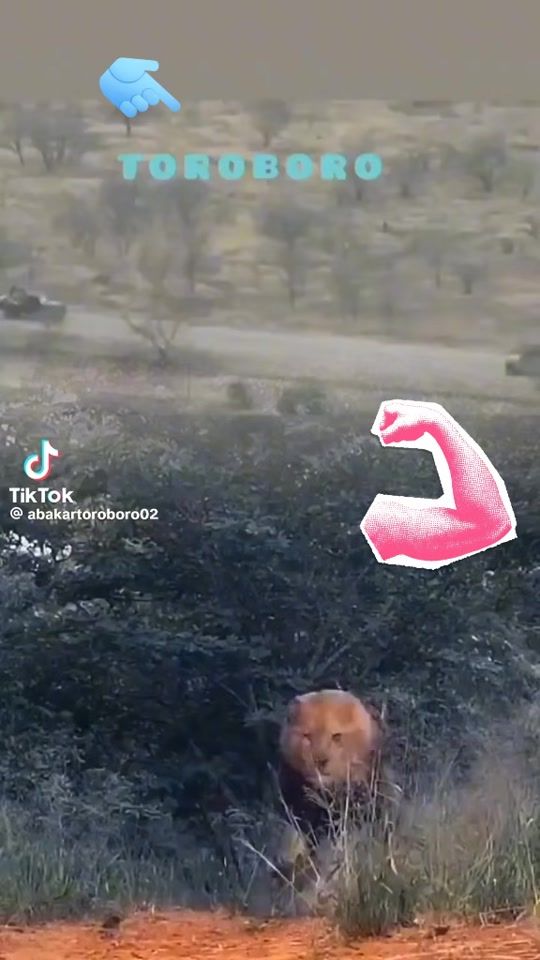 TikTok video thumbnail by user119386826818