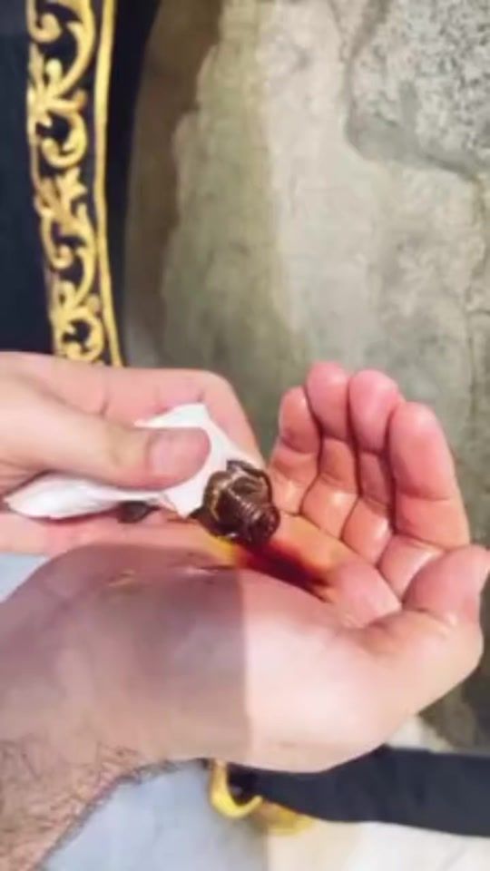 TikTok video thumbnail by user6232332512865