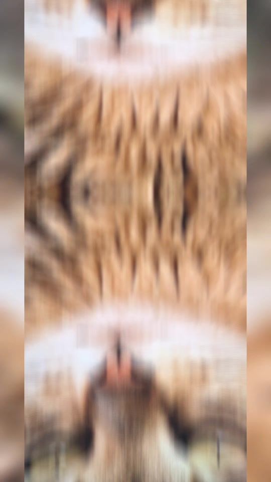 TikTok video thumbnail by ghadakhoury2