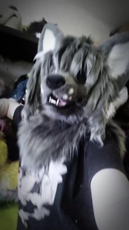 TikTok video thumbnail by dozai_gogol