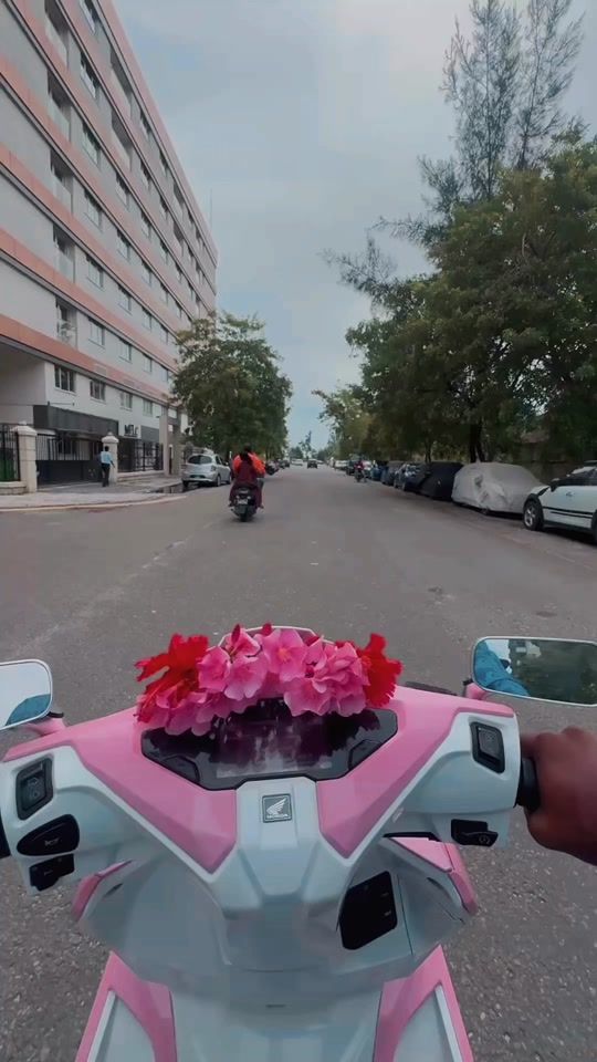 TikTok video thumbnail by chikku_214