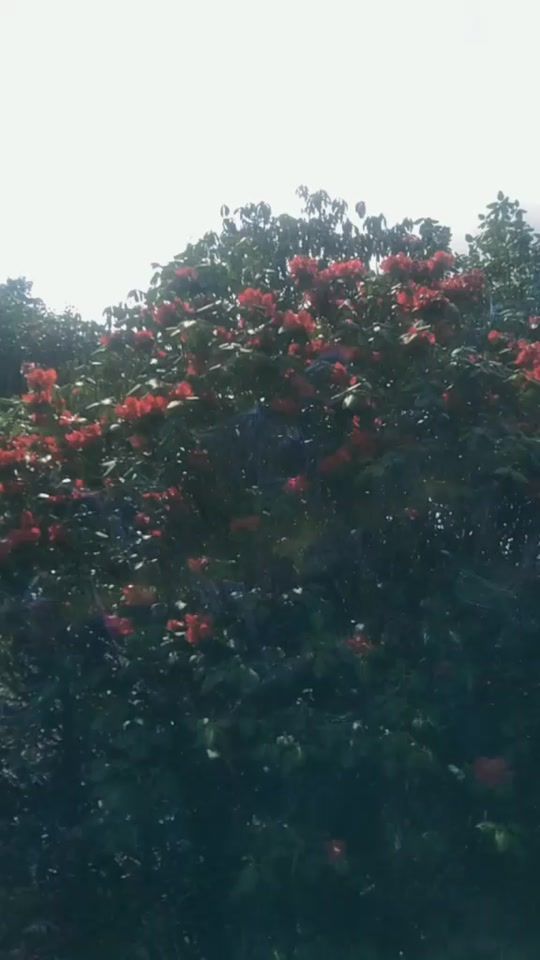 TikTok video thumbnail by namsel.peldon