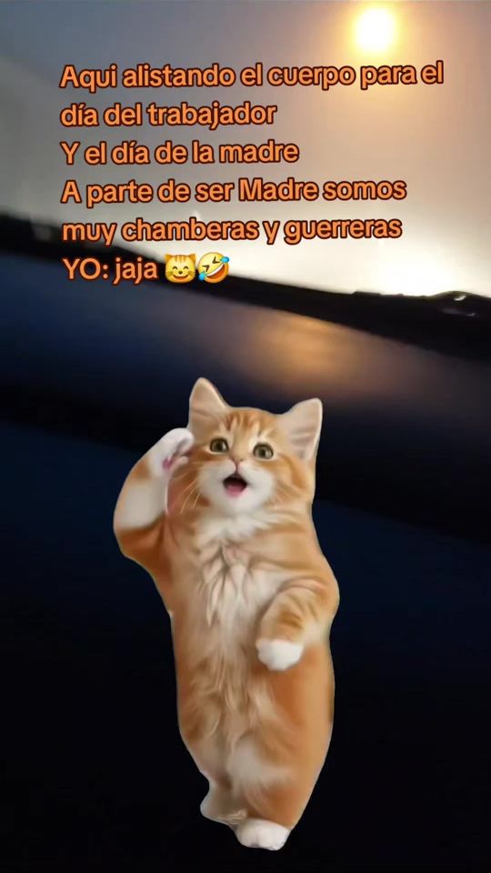 TikTok video thumbnail by rositasaca8