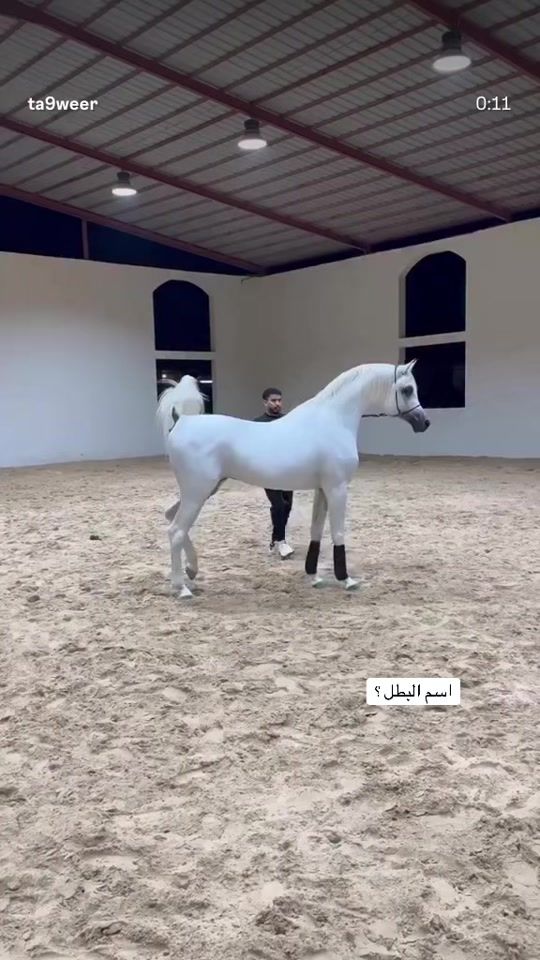 TikTok video thumbnail by du.x20