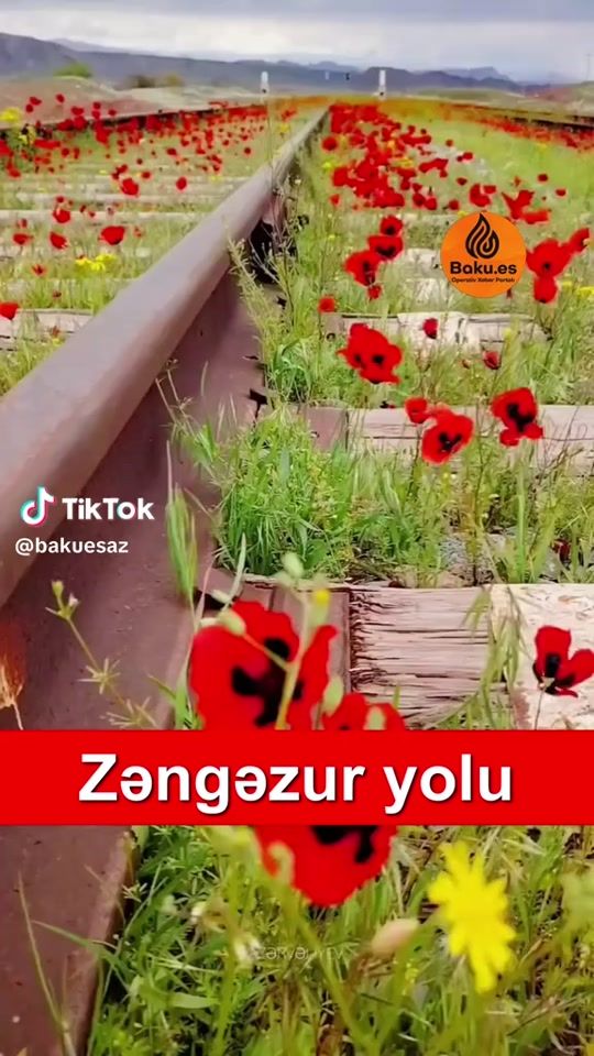 TikTok video thumbnail by musayeva_69