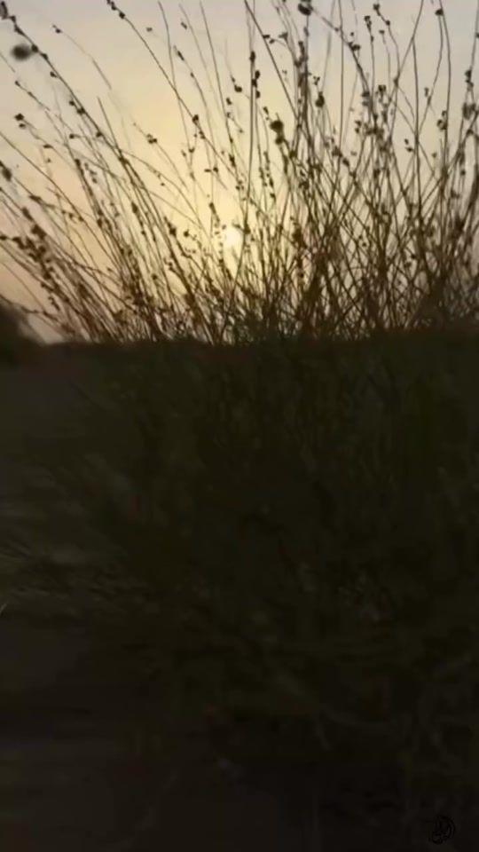 TikTok video thumbnail by khayal7117329394124