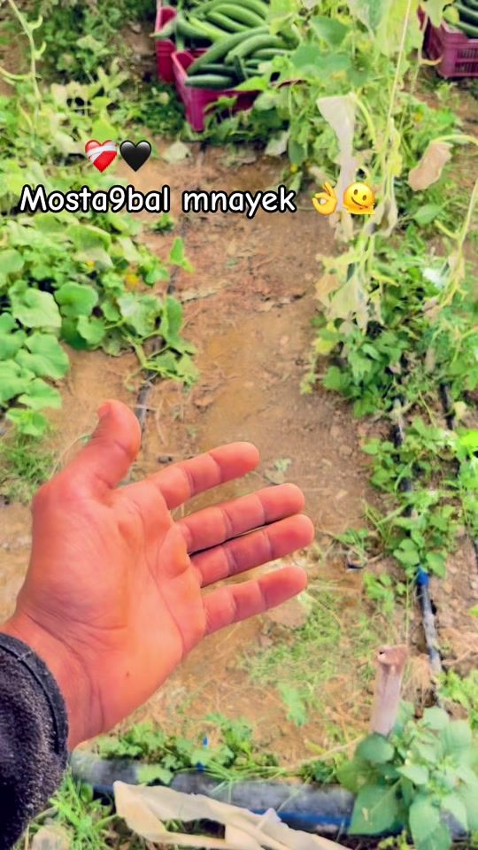 TikTok video thumbnail by marwan.za0