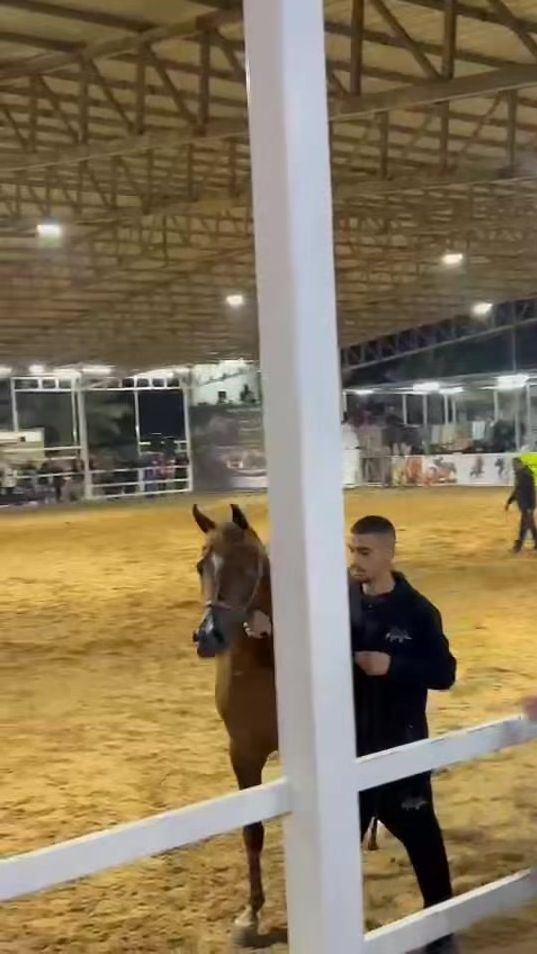 TikTok video thumbnail by thereal_yazan