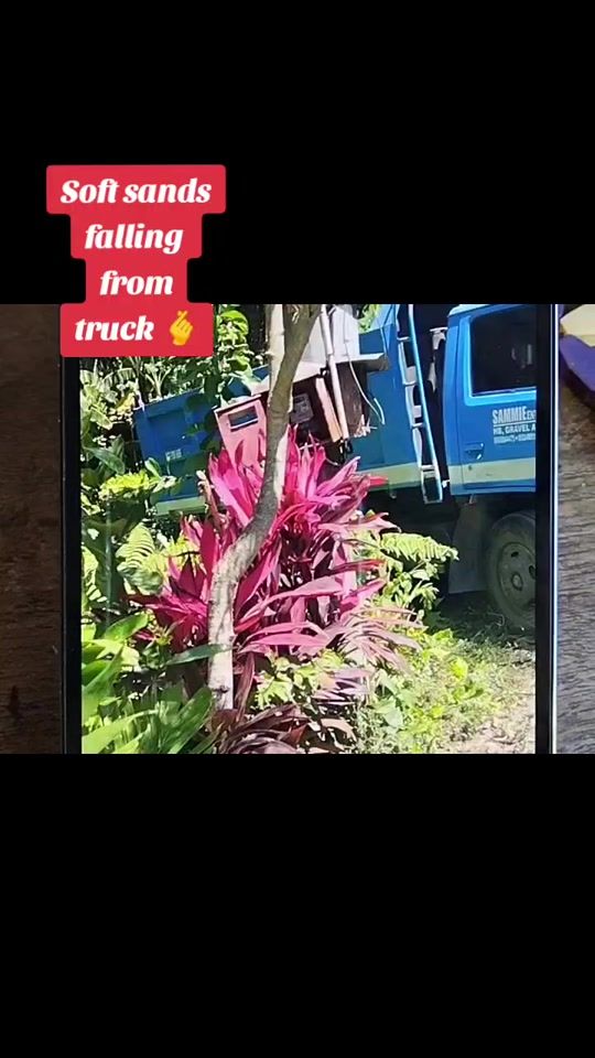 TikTok video thumbnail by fleurfortaleza