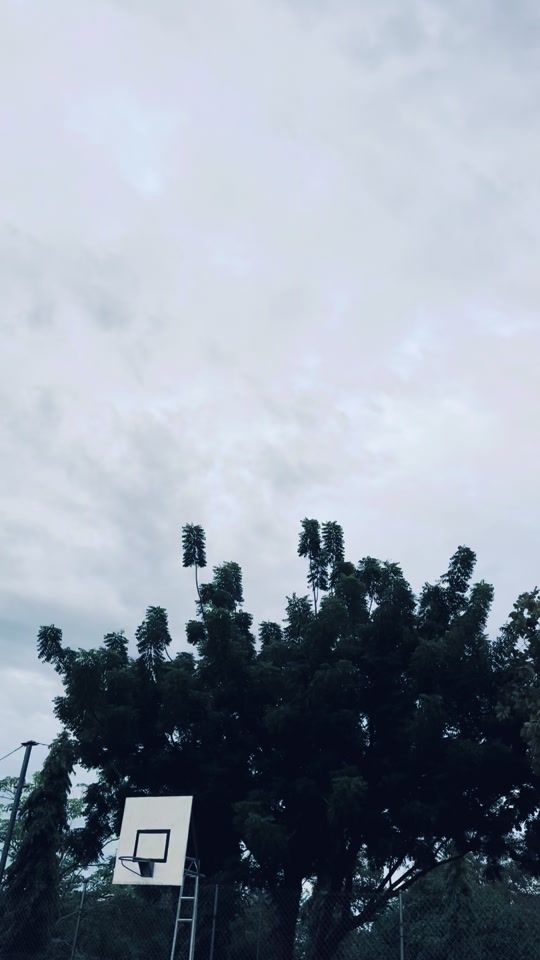 TikTok video thumbnail by certifiedarop