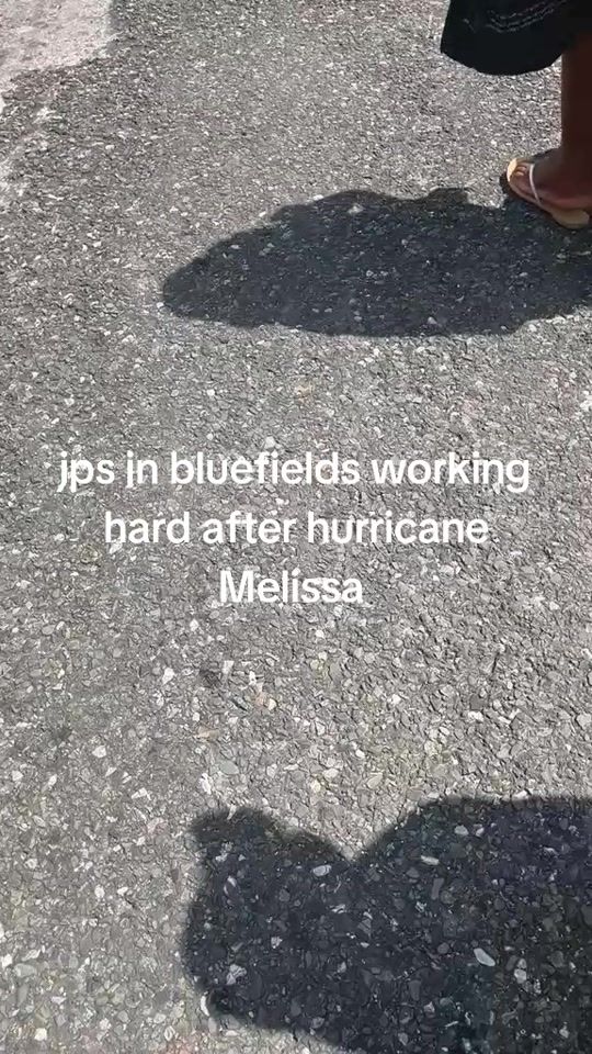 TikTok video thumbnail by annasfamily1