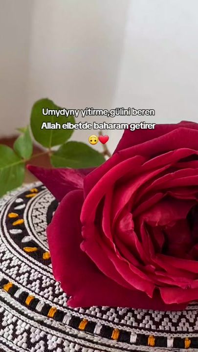 TikTok video thumbnail by heka_77_09_