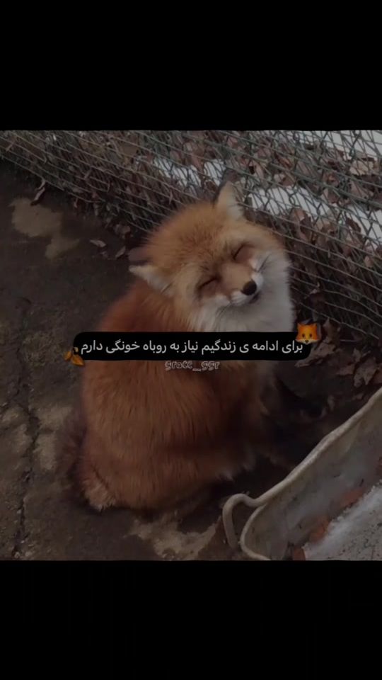 TikTok video thumbnail by grace_ggr
