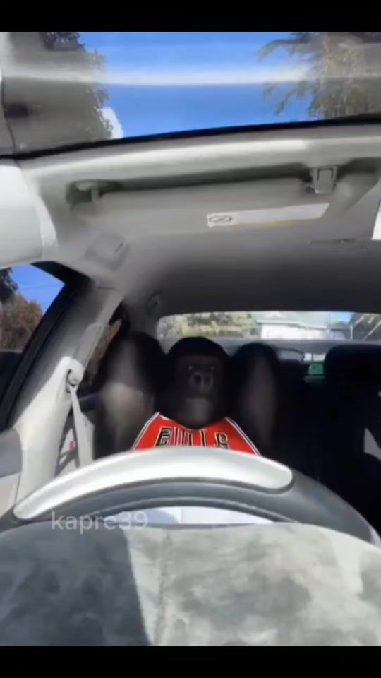 TikTok video thumbnail by kapre39