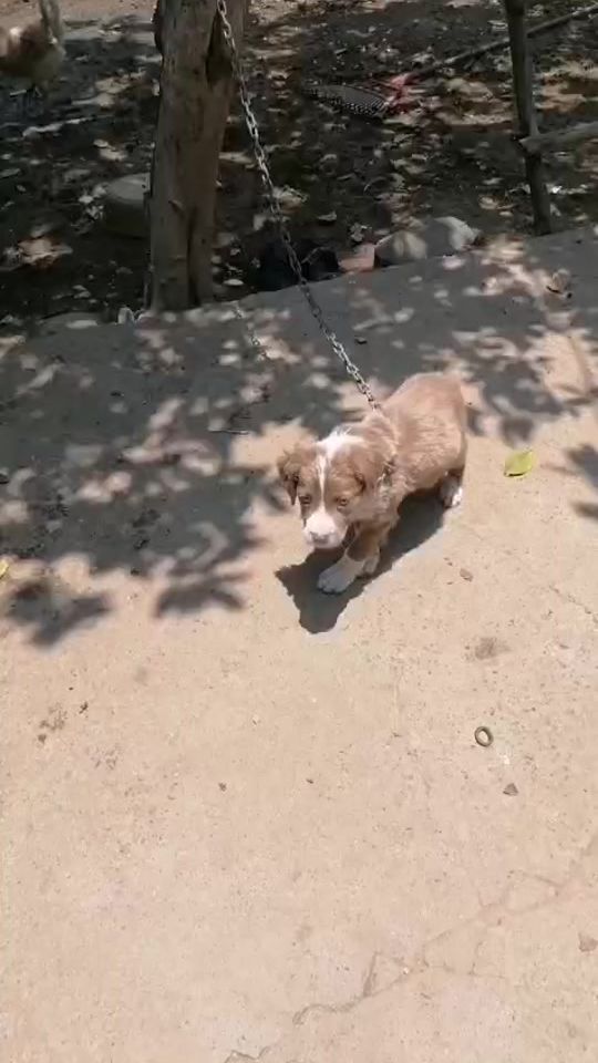 TikTok video thumbnail by tiktok.comkarla36