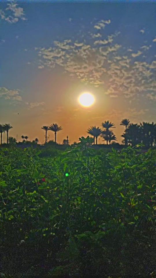 TikTok video thumbnail by ainmarjhfr2