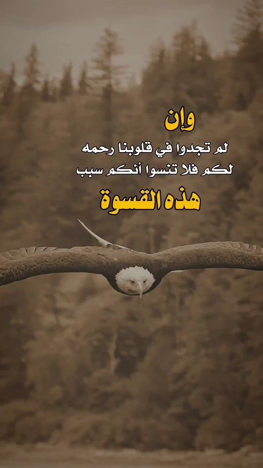 TikTok video thumbnail by aa_ss____