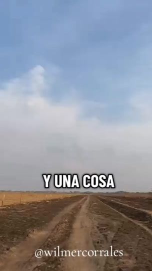 TikTok video thumbnail by wilmercorraless