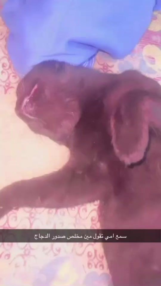 TikTok video thumbnail by 43u7