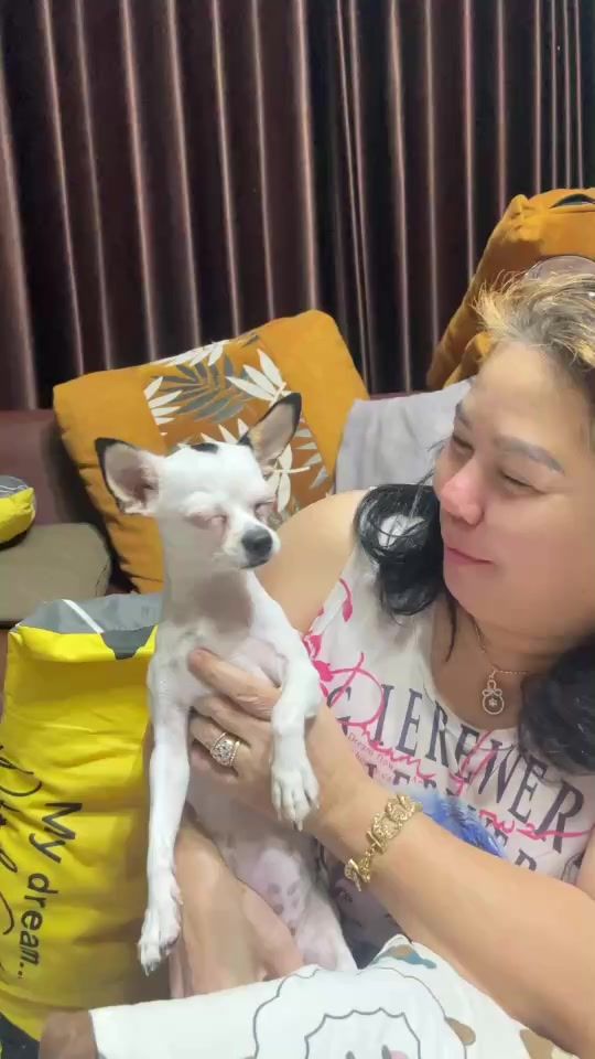 TikTok video thumbnail by montirasuknit