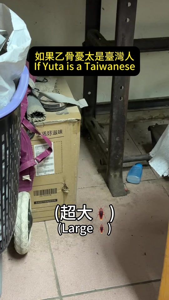 TikTok video thumbnail by xiaojie_0616