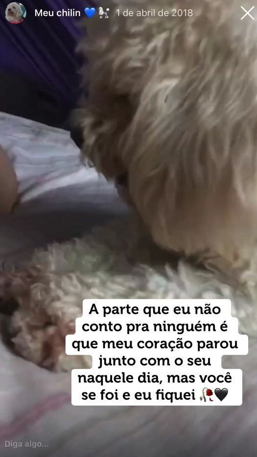 TikTok video thumbnail by janainabastosjk