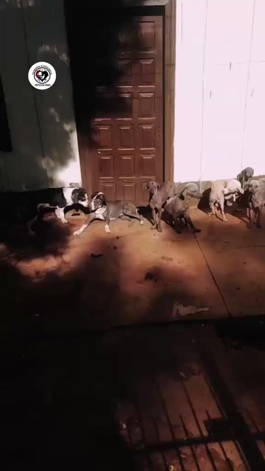 TikTok video thumbnail by discas_posadas