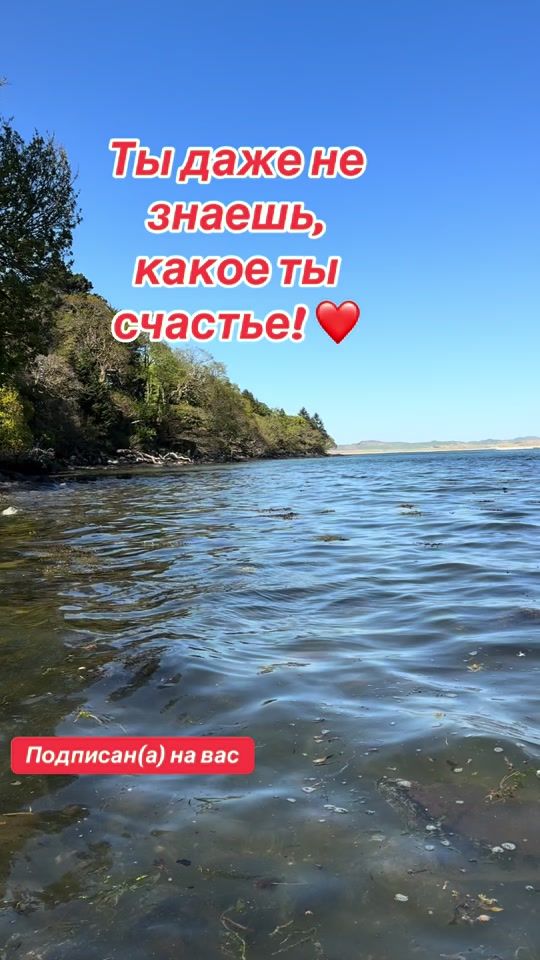 TikTok video thumbnail by odessa_1994