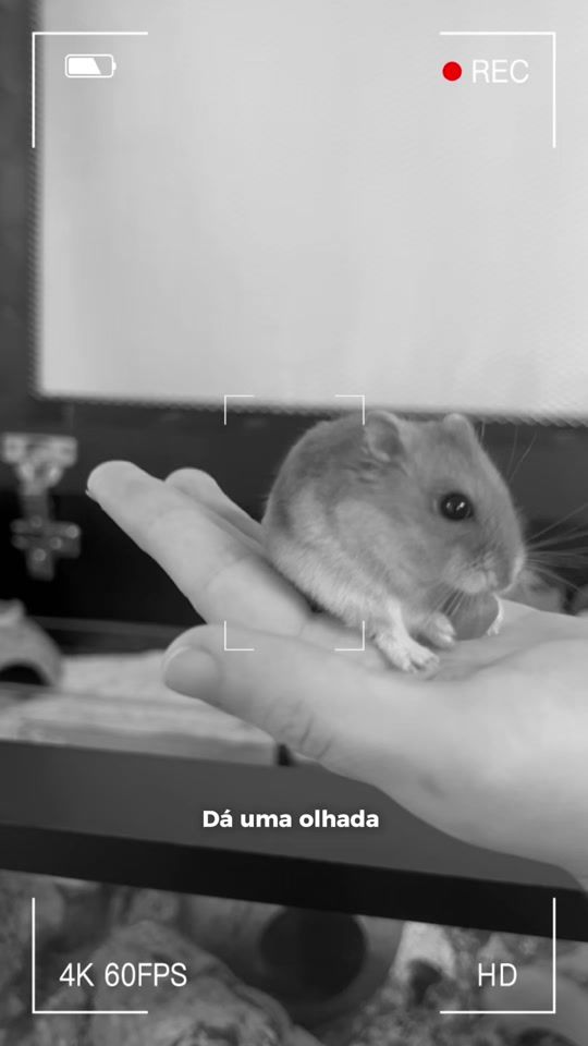 TikTok video thumbnail by _magic_rainbow
