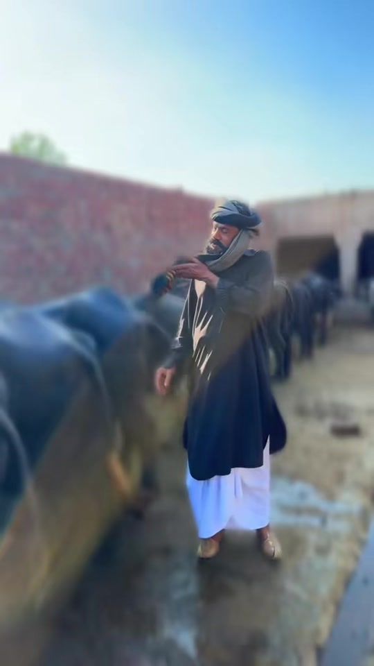TikTok video thumbnail by ismaildogar208