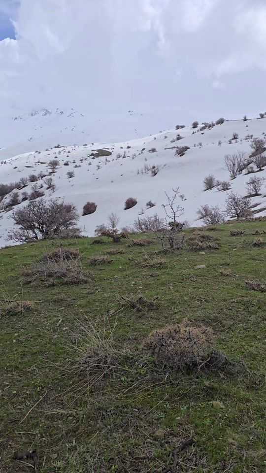 TikTok video thumbnail by elmin.hesenov2