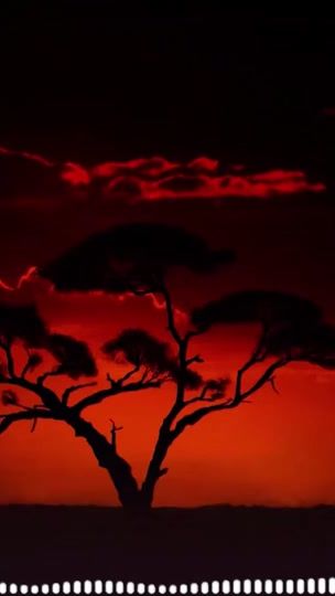 TikTok video thumbnail by sunshine_saoli