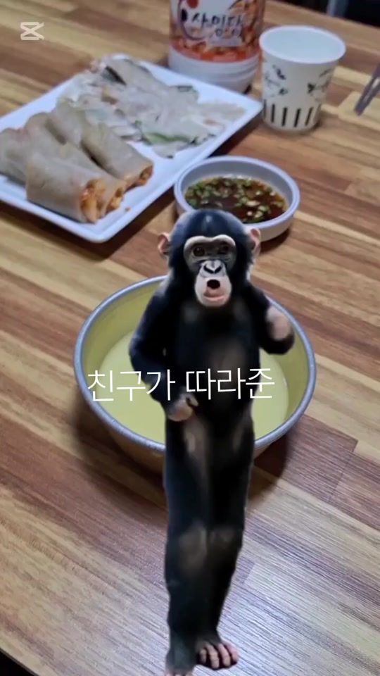 TikTok video thumbnail by jeep.wrangler1941