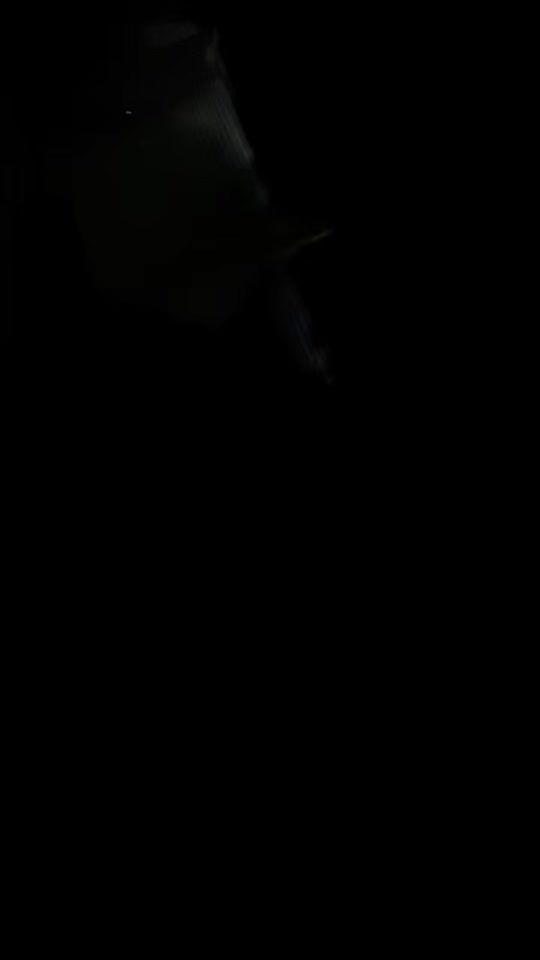 TikTok video thumbnail by zoo_031