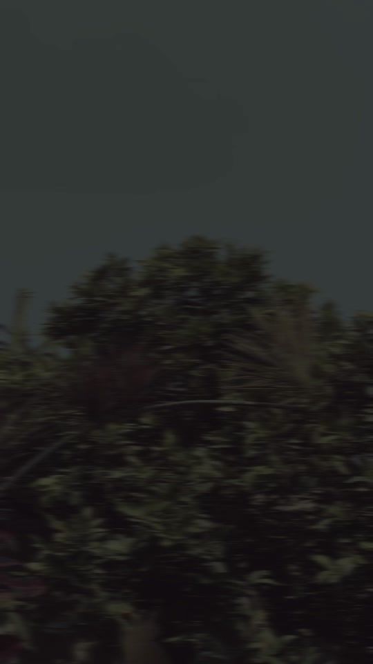 TikTok video thumbnail by nish_quotes