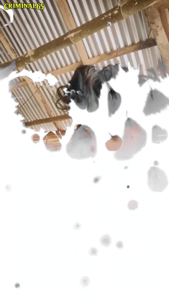 TikTok video thumbnail by vibewithram1